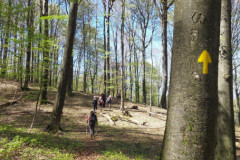 10-na-poti