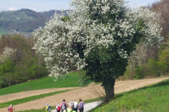 12-nazaj-v-Skocjan-1