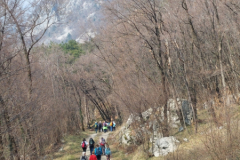 20260310_205150_Gallery