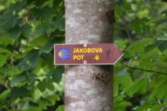 FJ7_3451