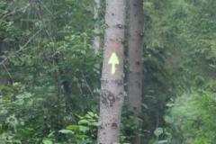 FJ7_3452